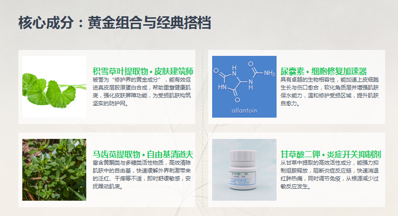 炣之颜草本精粹面膜