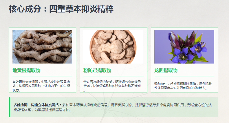 炣之颜草本精粹面膜